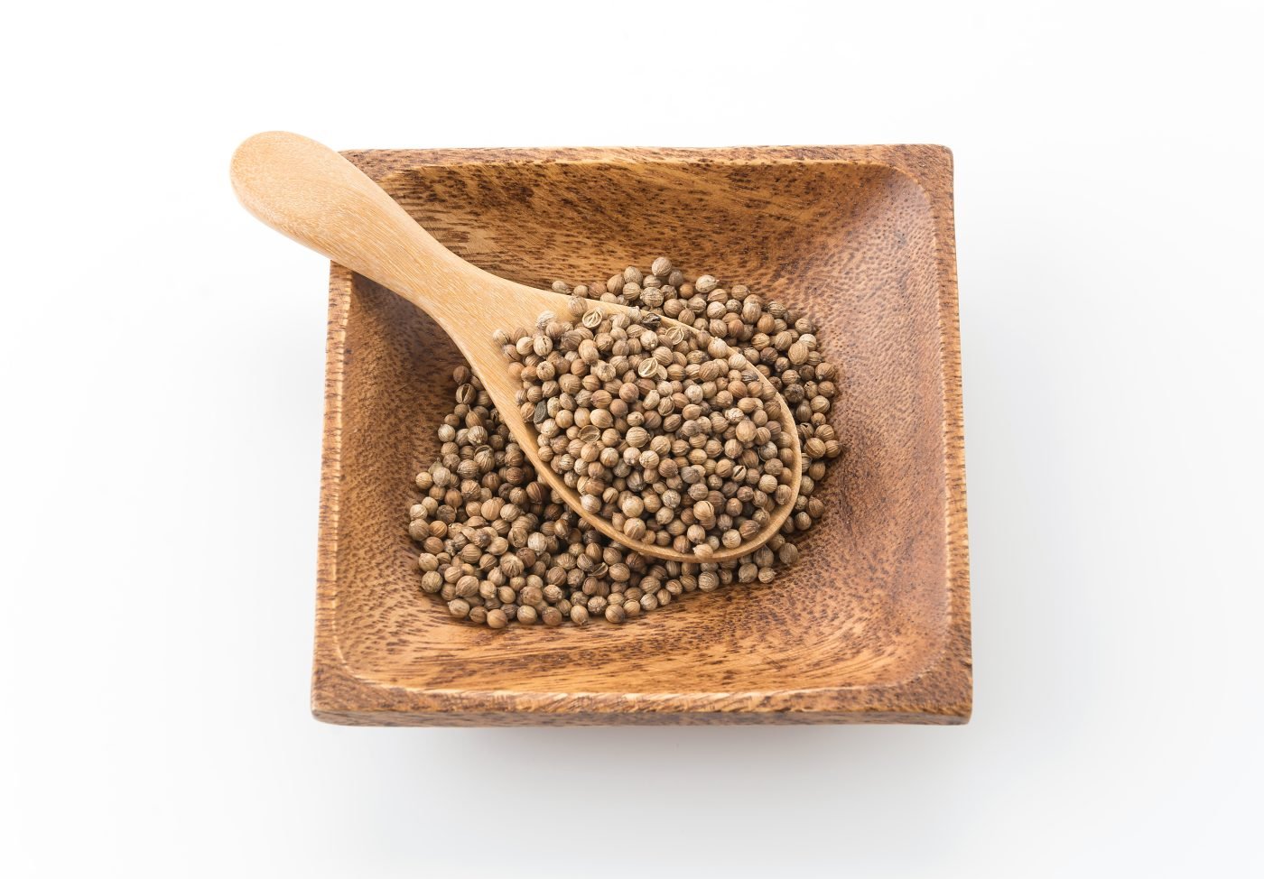 Coriander