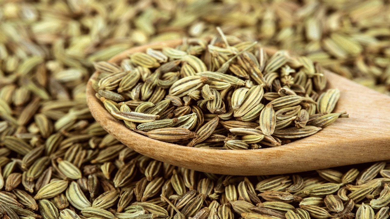 Fennel