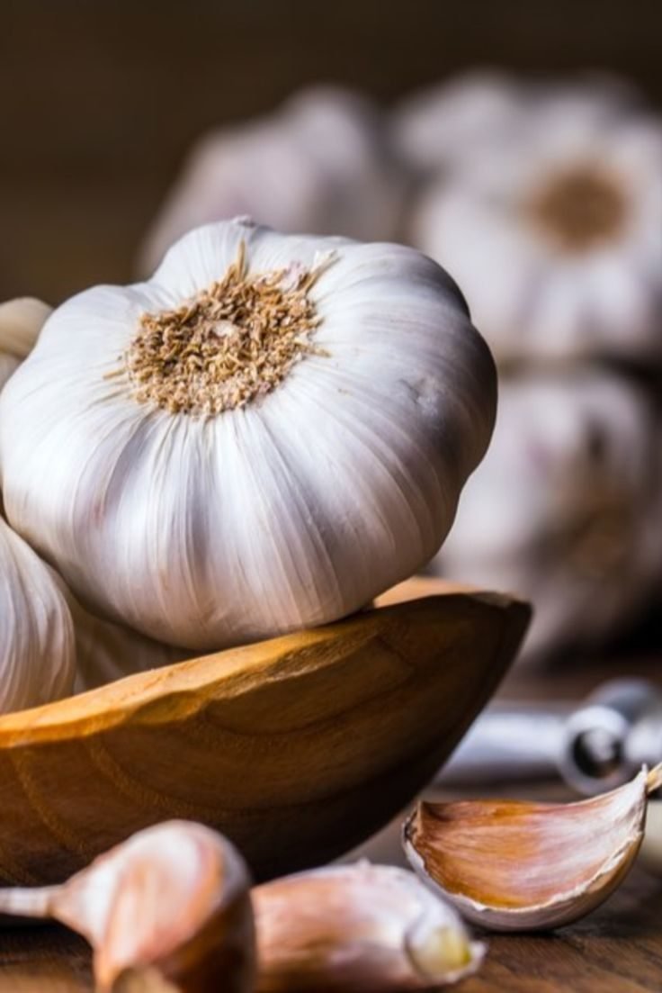Garlic