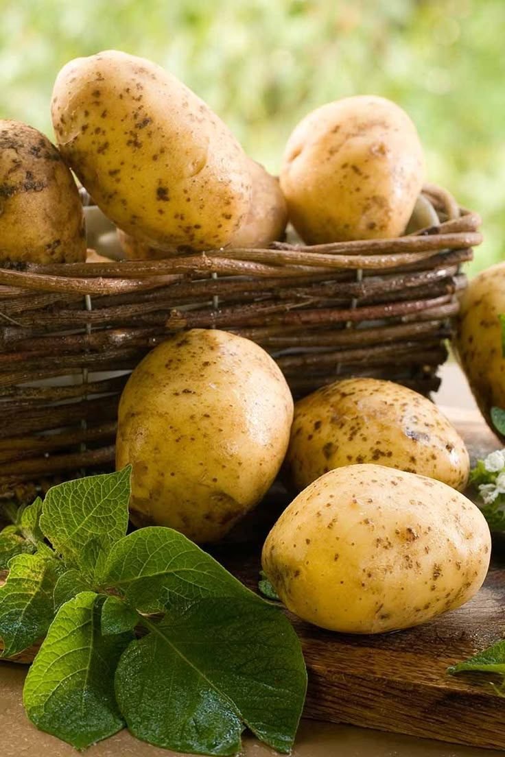 Potatoes
