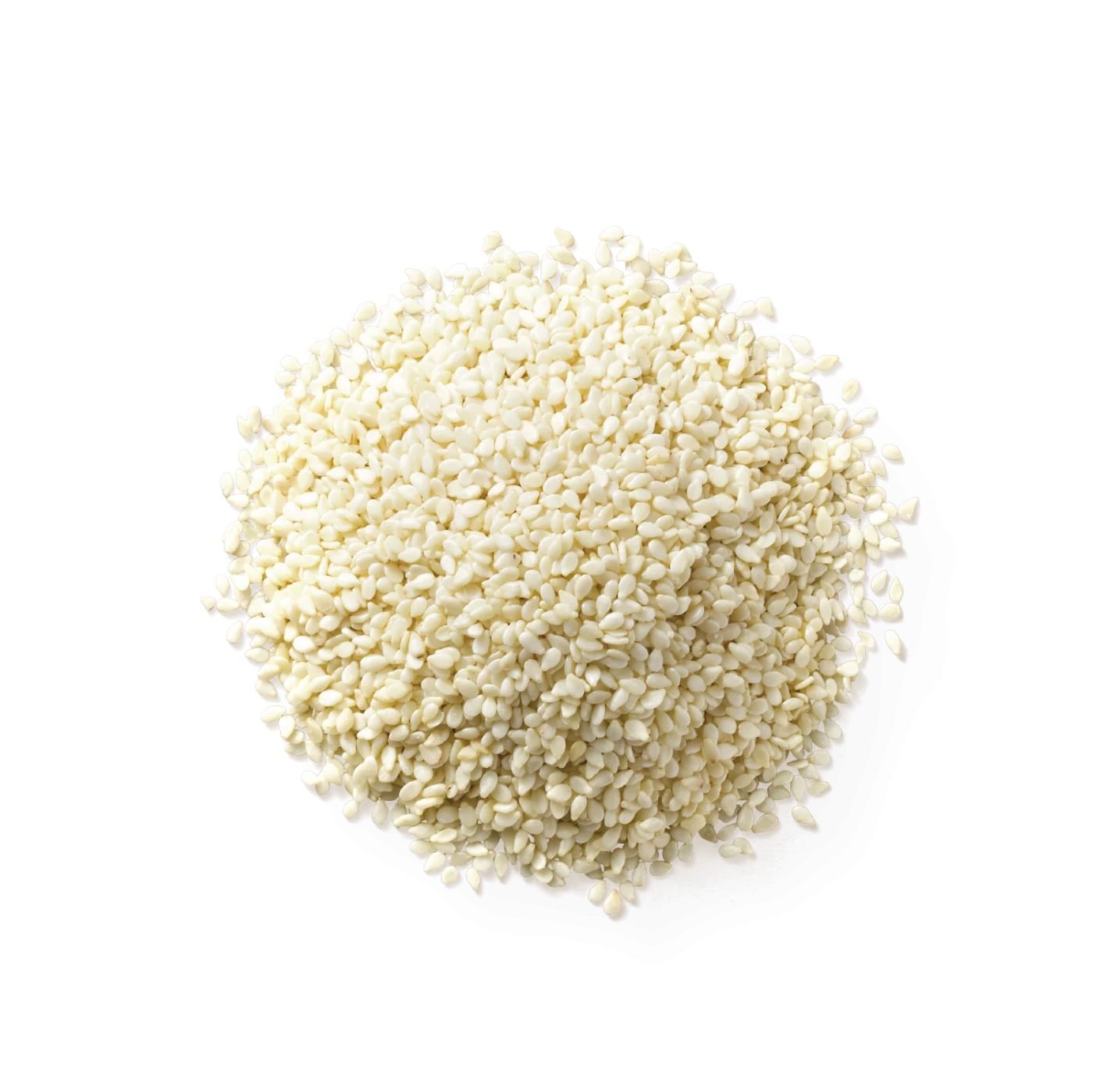 Sesame (Black / White) – 2