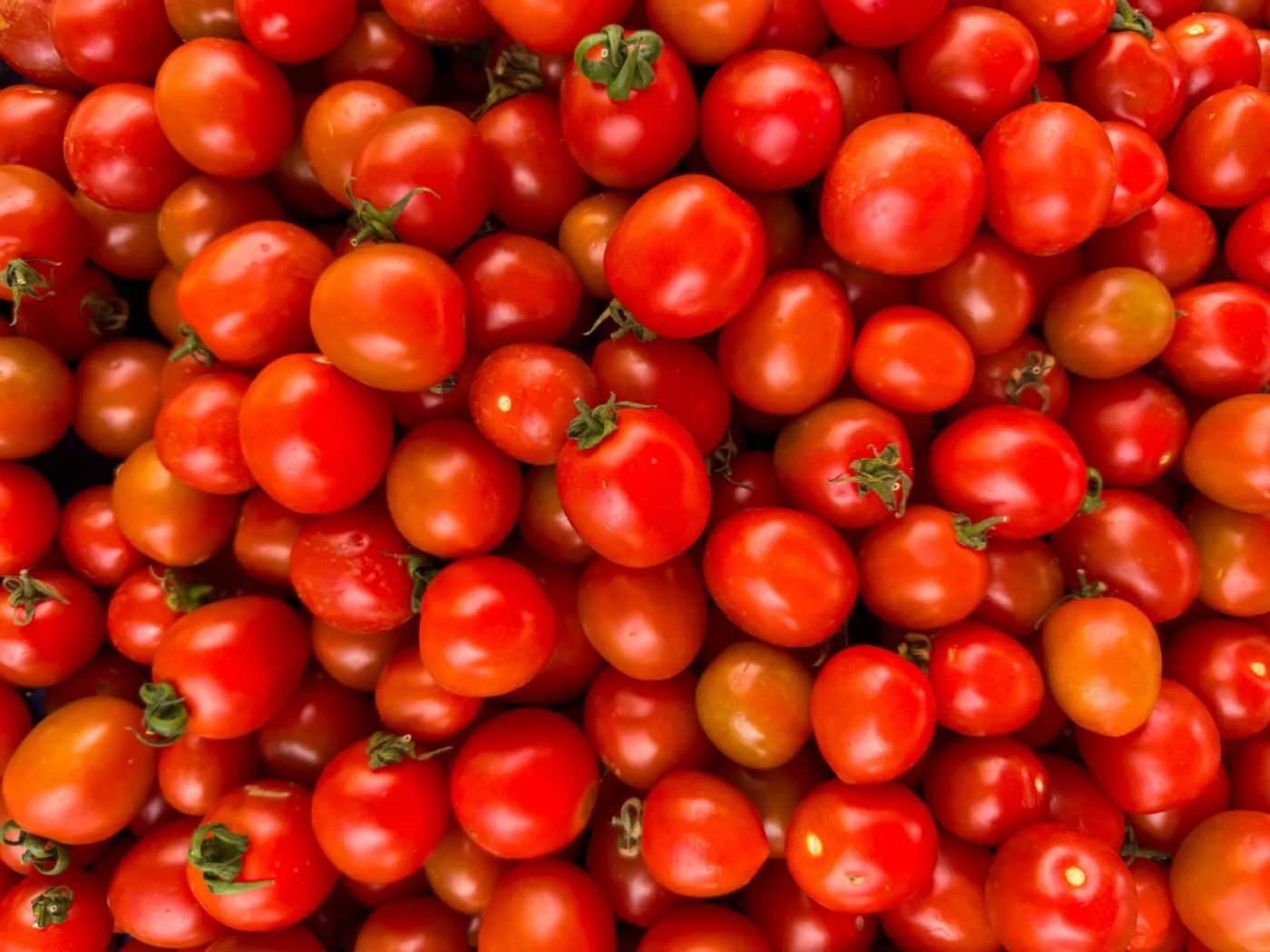 Tomatoes