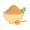 corriander-powder-icon